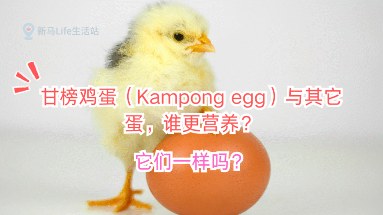 Chicken and egg